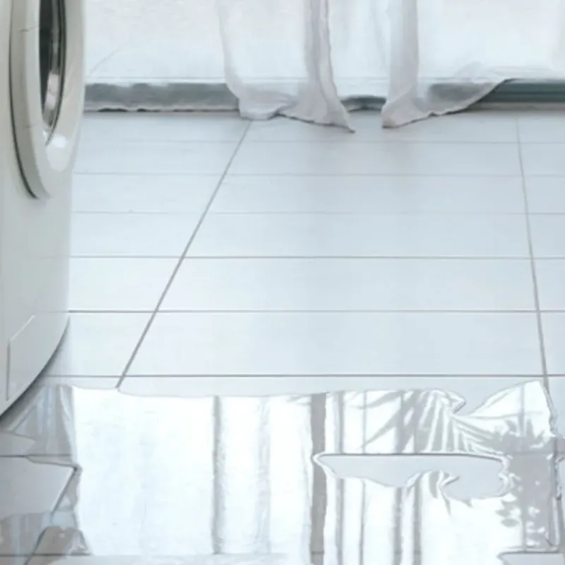 Appliance Leak Cleanup in Manchester, NY