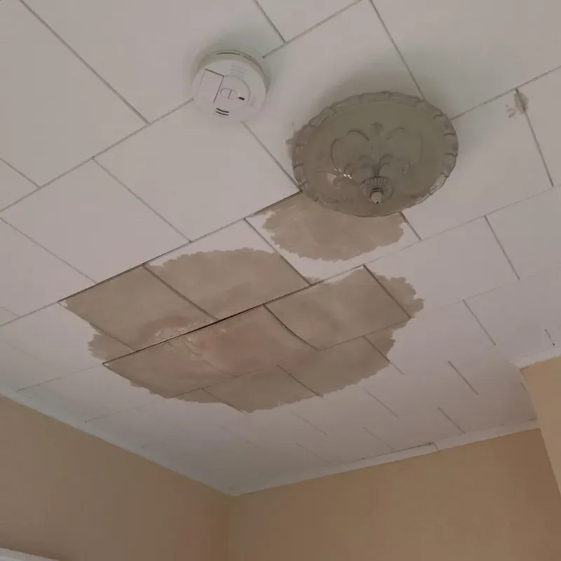 Ceiling Water Damage Repair in Manchester, NY